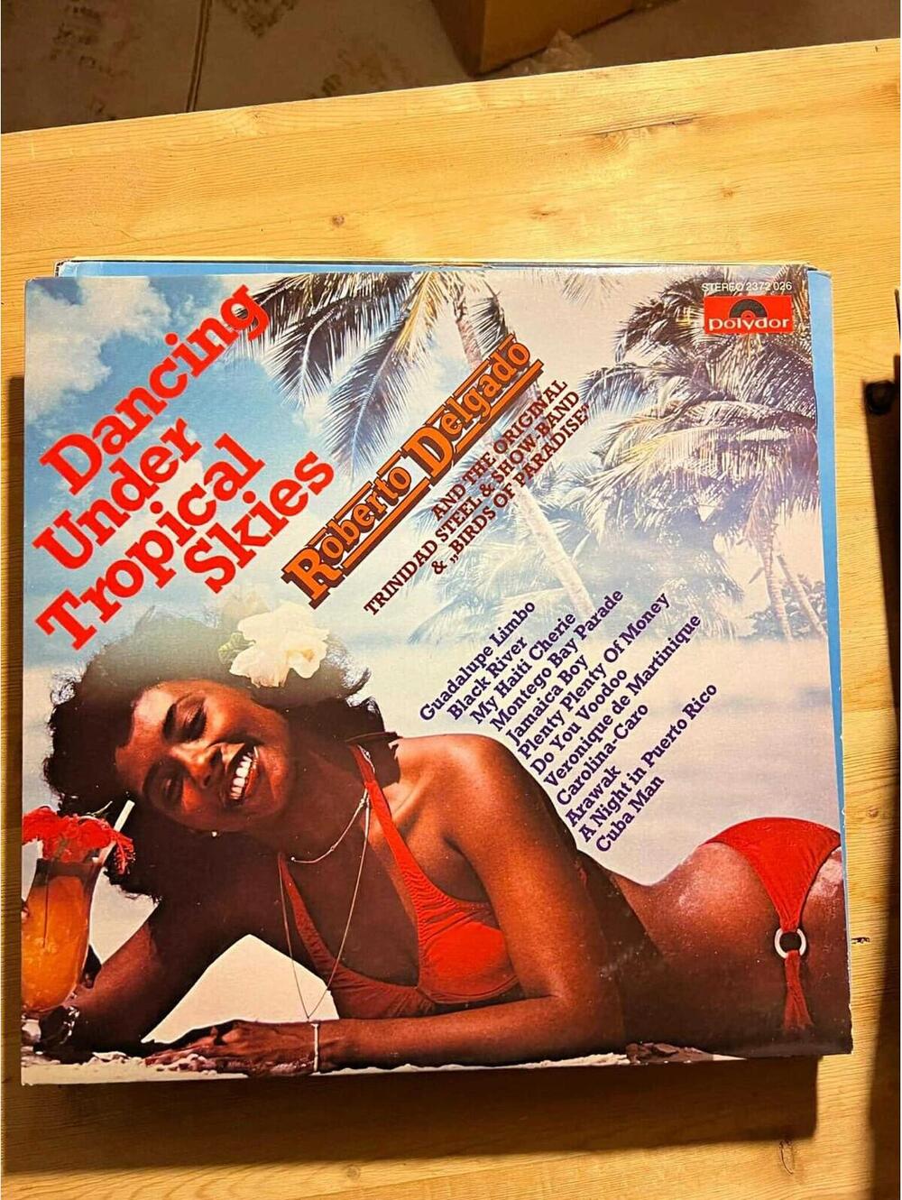 Roberto Delgado – Dancing Under Tropical Skies Vintage 33rpm VG+ AB24